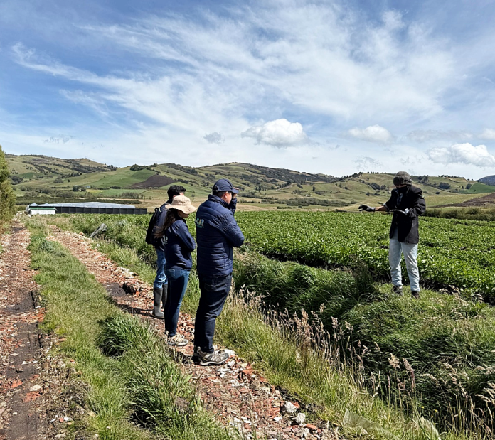 Suspenden cultivo de rosas en zona de páramo en Zipaquirá