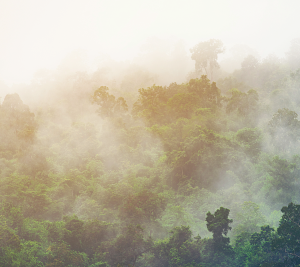Cada año llueve menos en la Amazonía: una señal para Colombia