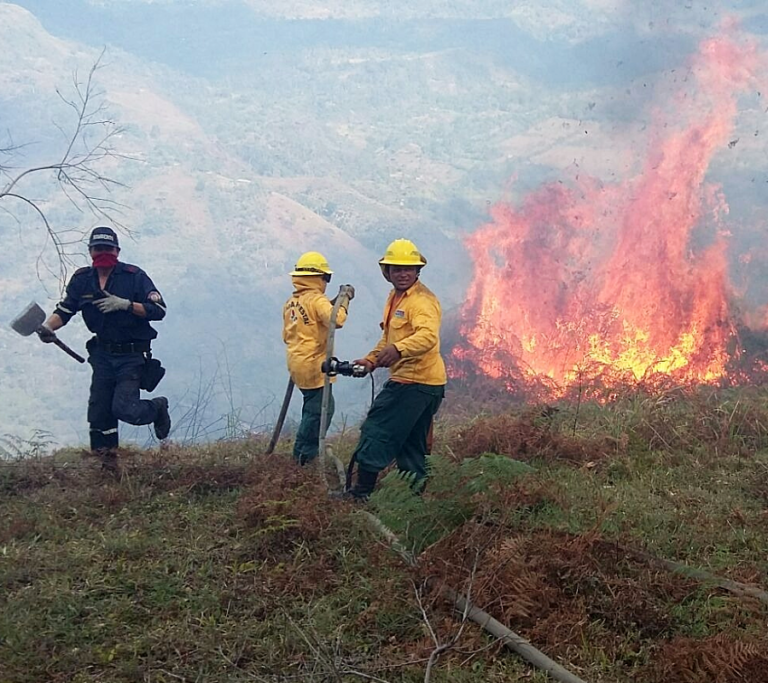 Cinco errores que aceleran la sequía por El Niño