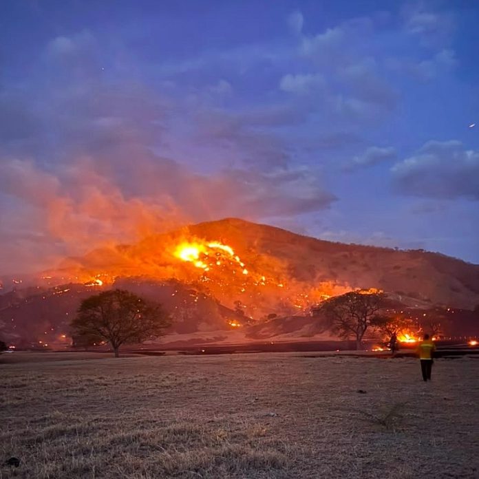 Incendios forestales afectan a varias regiones en Cundinamarca