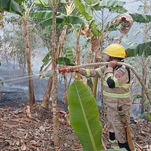 Cundinamarca registró 828 incendios forestales en 2026