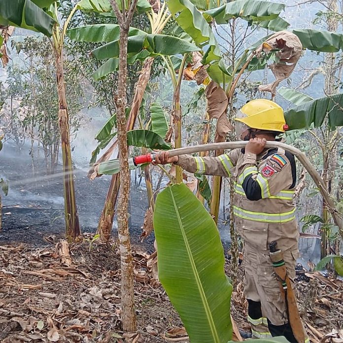 Cundinamarca registró 828 incendios forestales en 2026