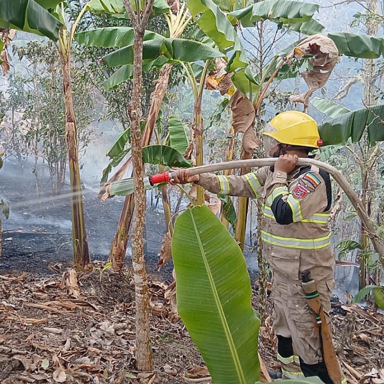 Cundinamarca registró 828 incendios forestales en 2026
