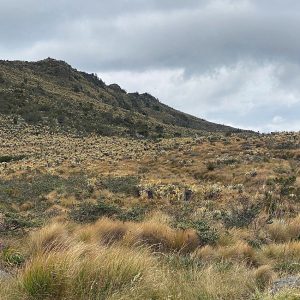 ¿Qué sería de Bogotá sin el agua de Cundinamarca?