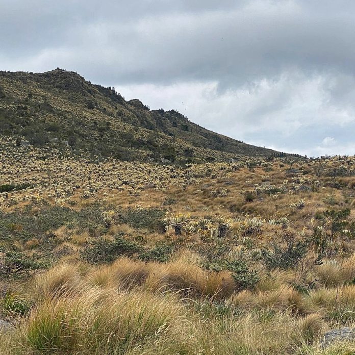 ¿Qué sería de Bogotá sin el agua de Cundinamarca?