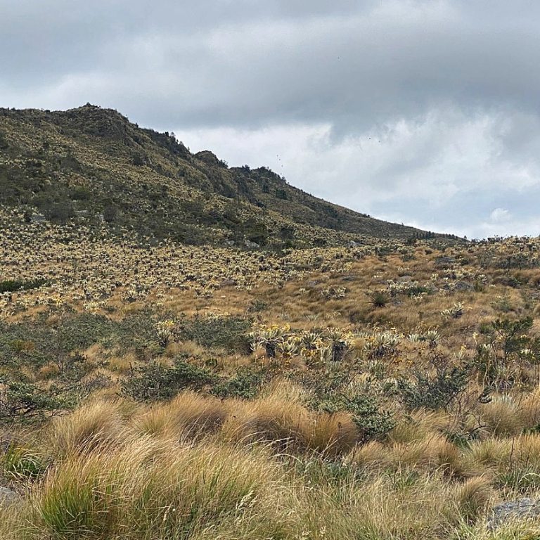 ¿Qué sería de Bogotá sin el agua de Cundinamarca?